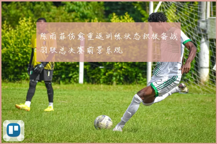 陈雨菲伤愈重返训练状态积极备战羽联总决赛前景乐观